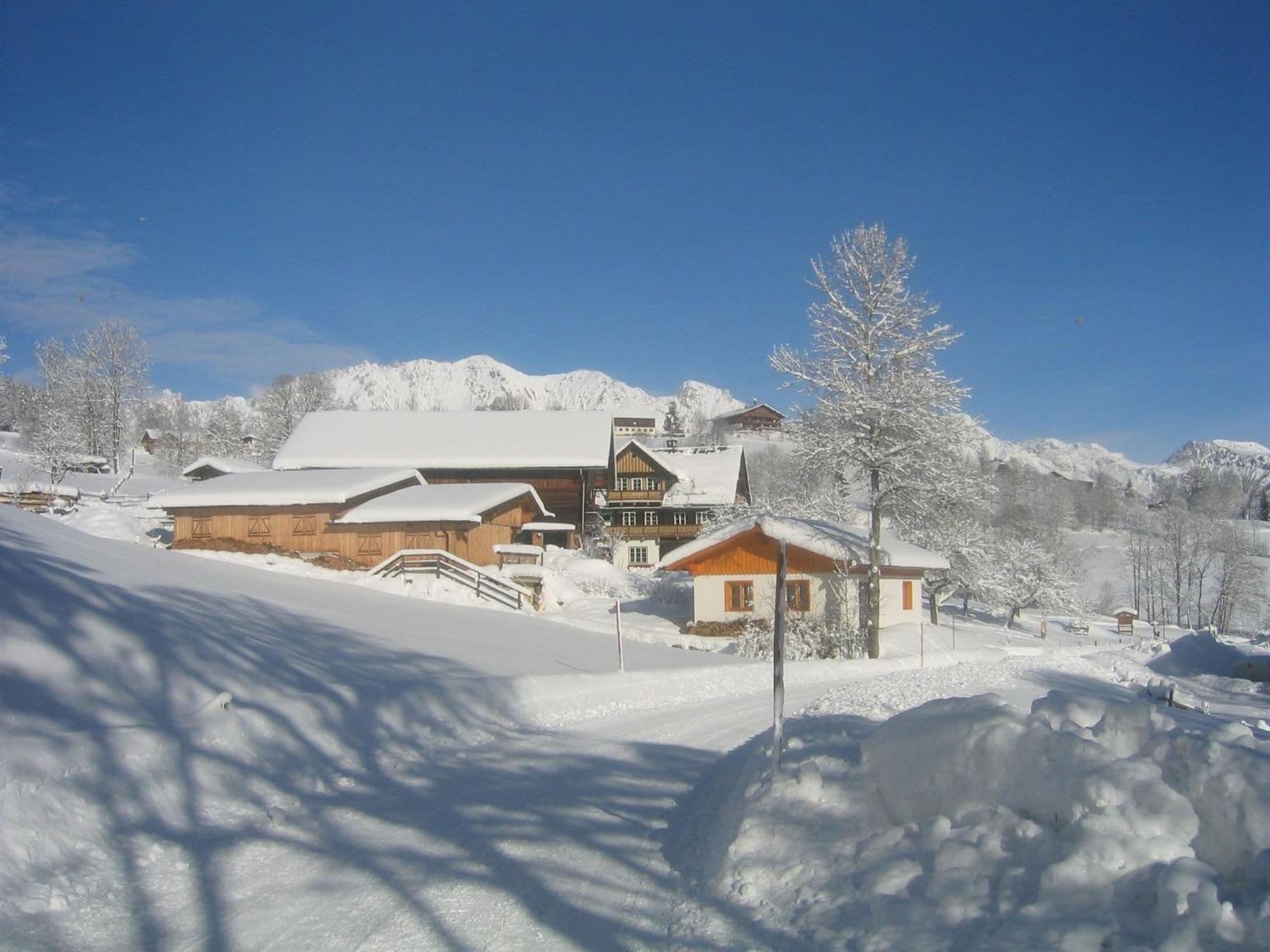 Cozy With Sauna In Schladming