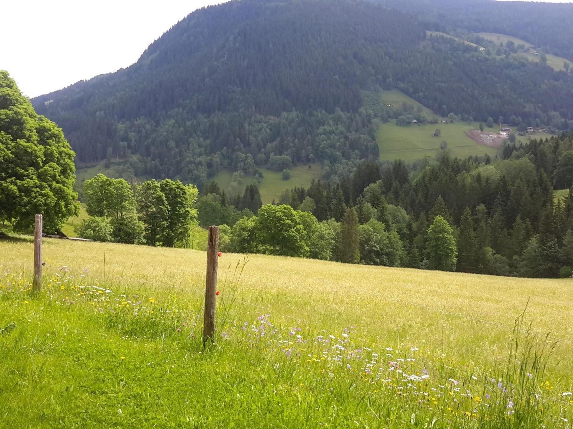 Apartment Cozy Holiday Apartment With Sauna In Schladming Schladming